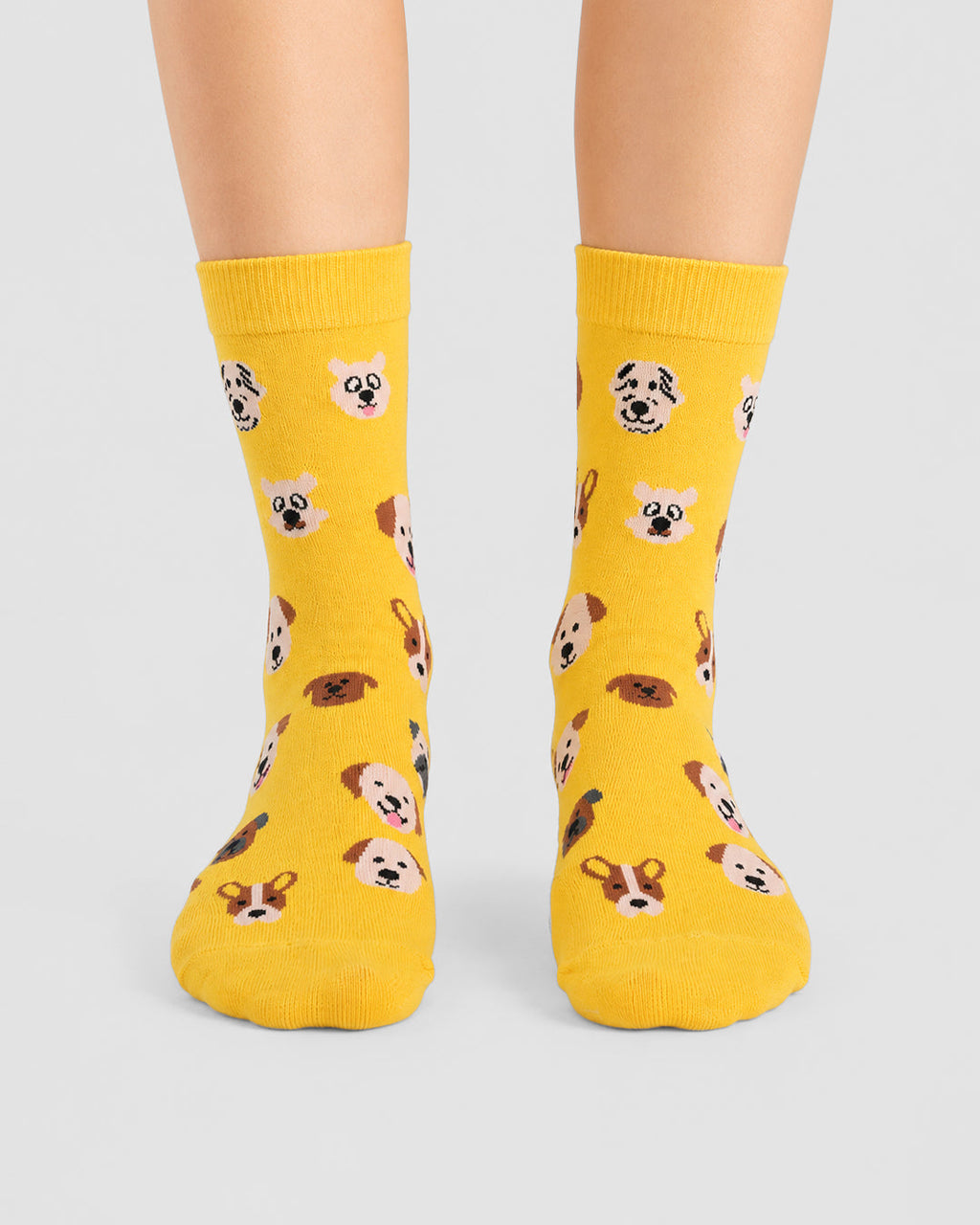 Yellow - Happy Paws
