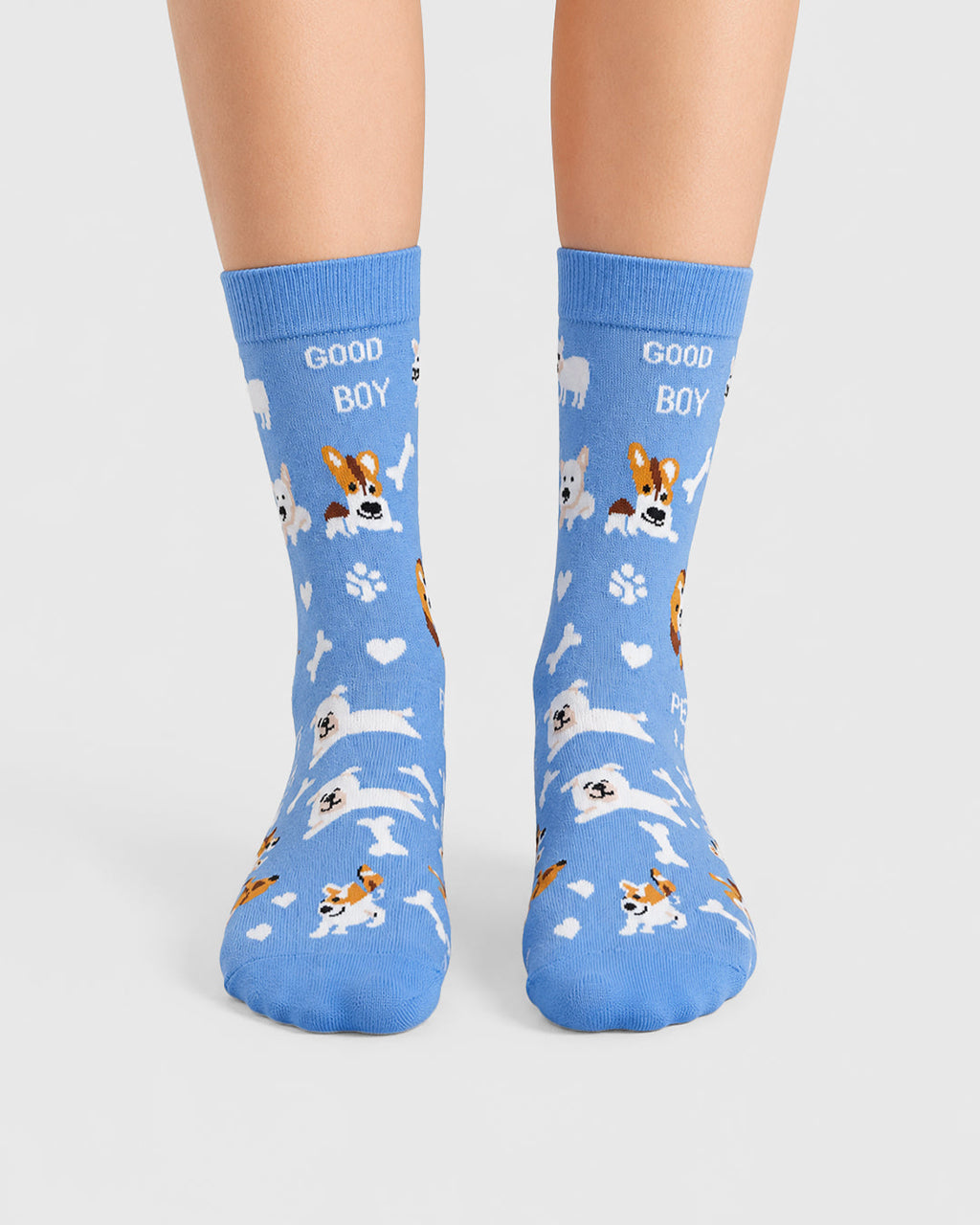 Blue - Happy Paws
