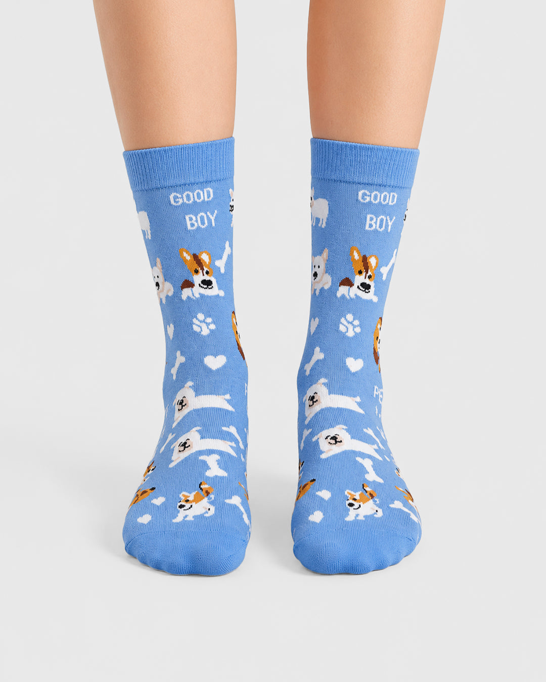 Blue - Happy Paws