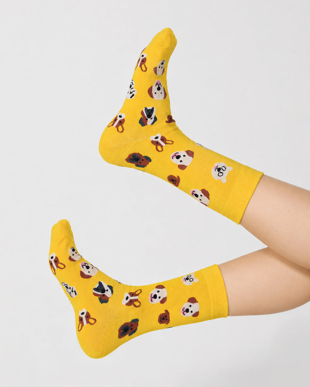 Yellow - Happy Paws