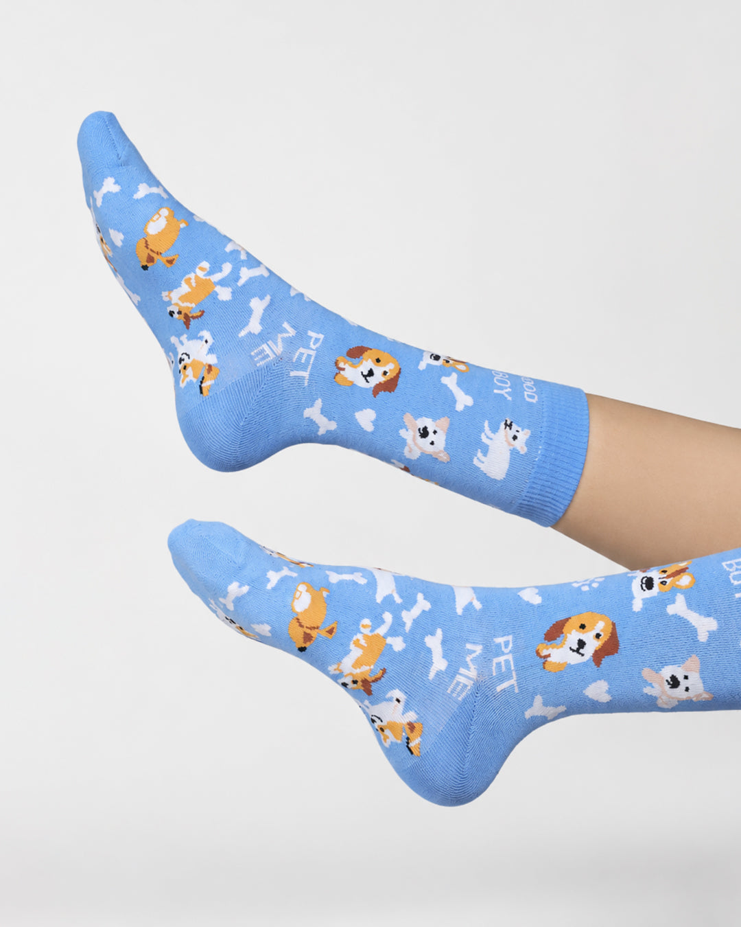 Blue - Happy Paws