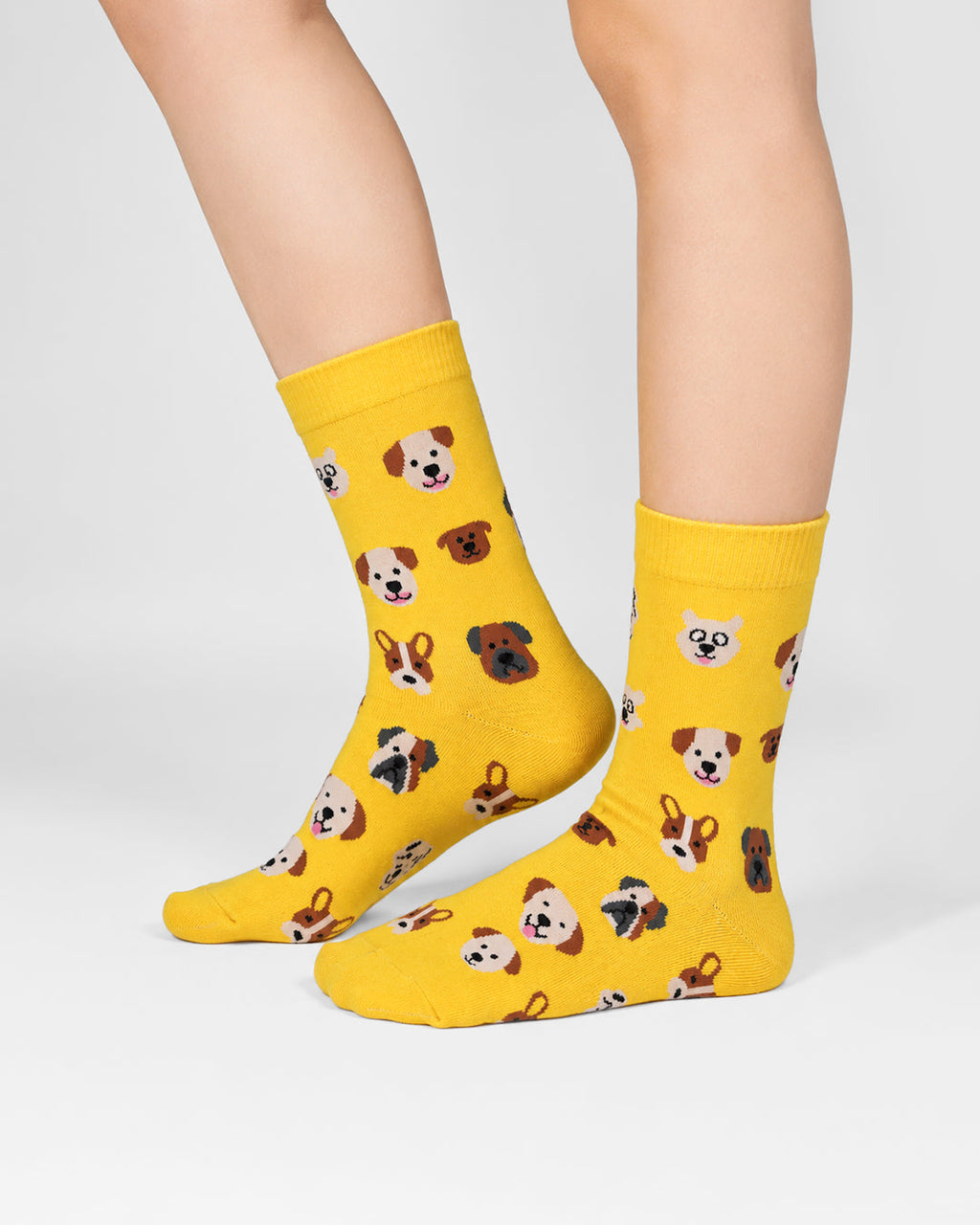 Yellow - Happy Paws