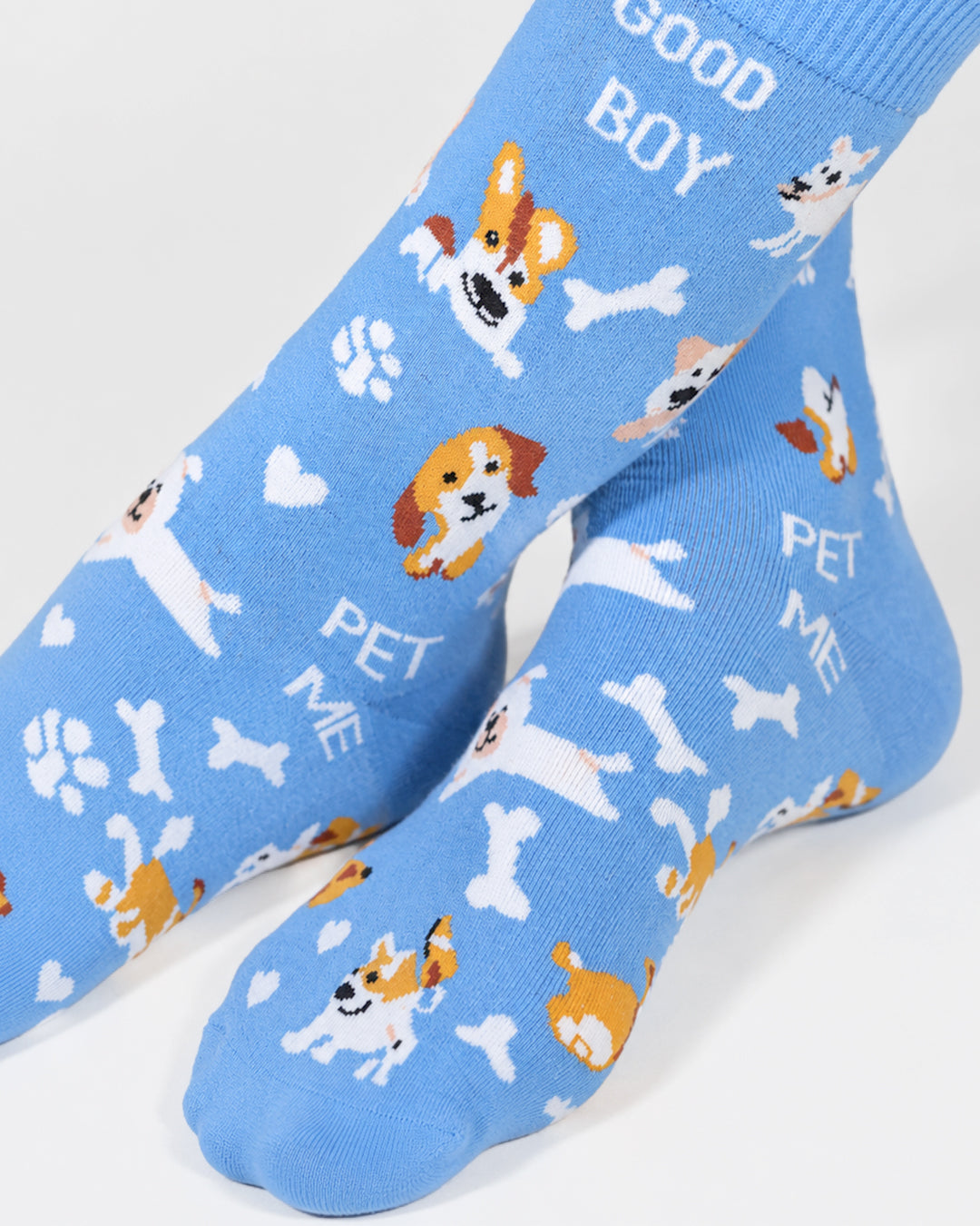 Blue - Happy Paws