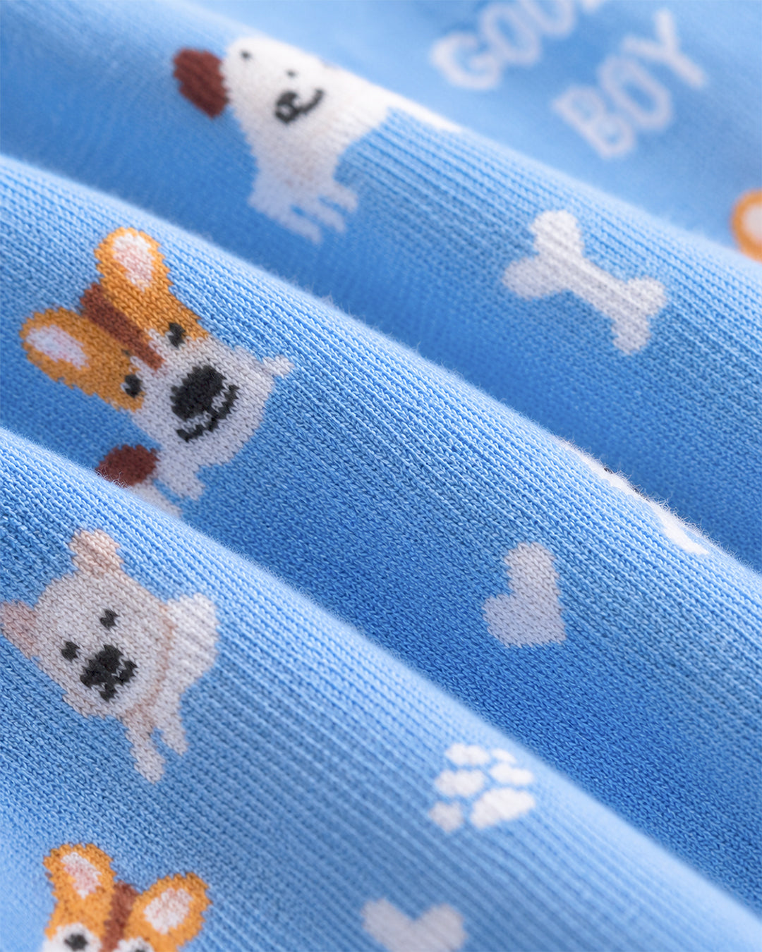 Blue - Happy Paws
