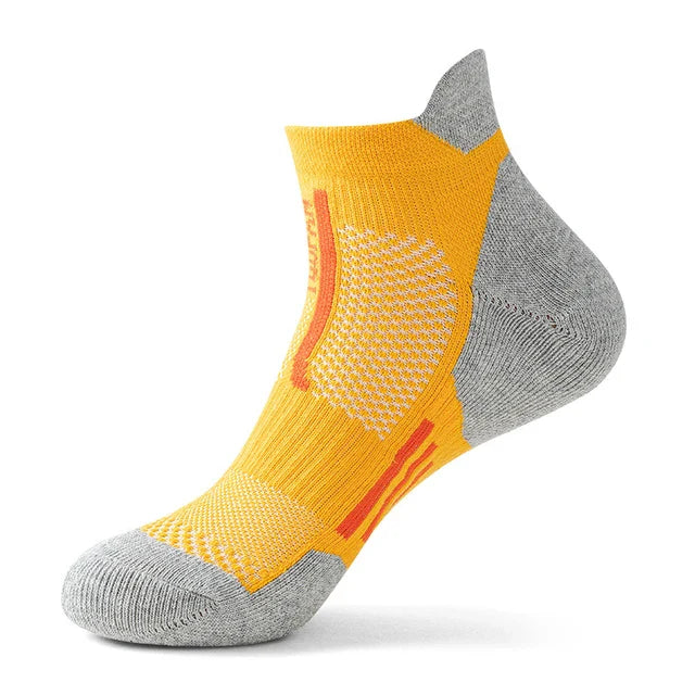 Apex Agility: Conquer Every Stride