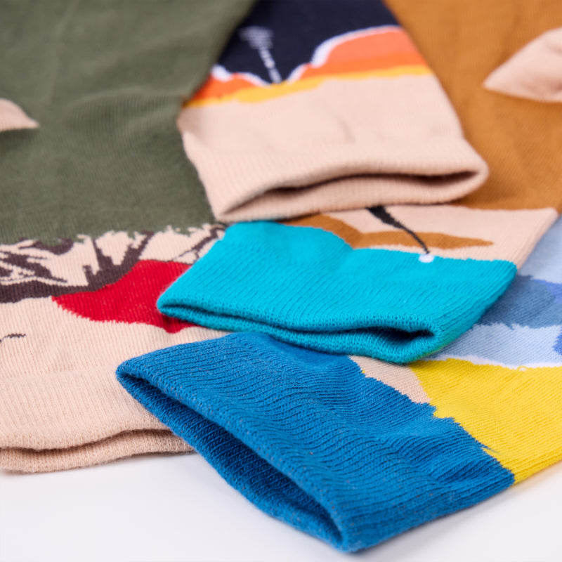 WanderSocks Limited Edition