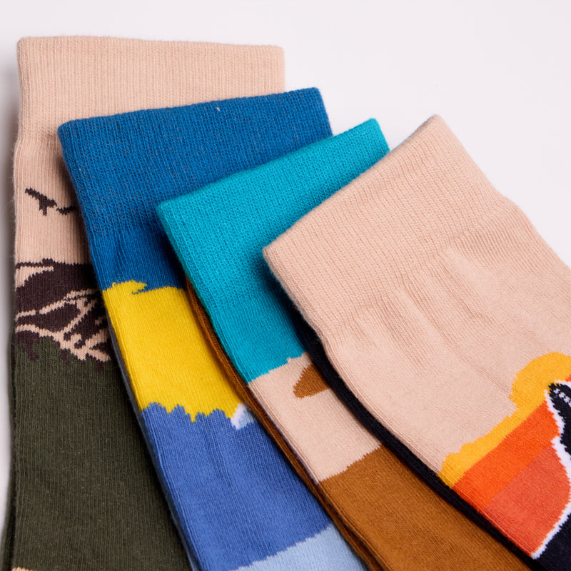 WanderSocks Limited Edition